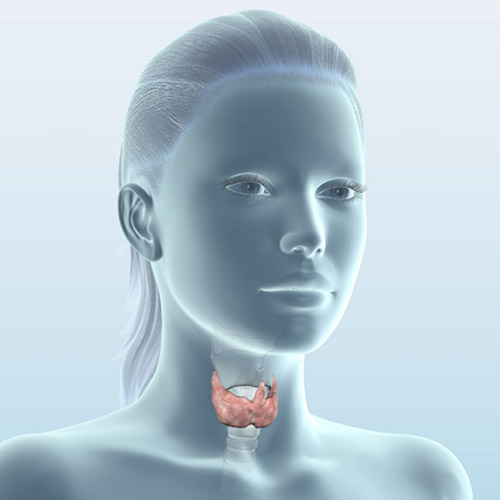 thyroid-cyst-what-is-it-and-how-to-fight-it-all-information-about