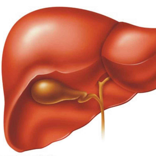 What causes liver cysts?