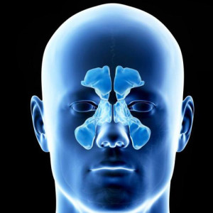 Cyst of the maxillary sinus. Symptoms of sinus cysts - All information ...