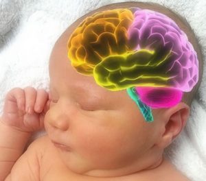 Cyst on baby brain - what should you do? Dangerous complications, diagnoses, treatment