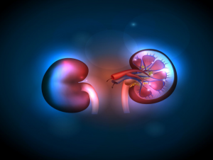 left and right simple kidney cyst symptoms