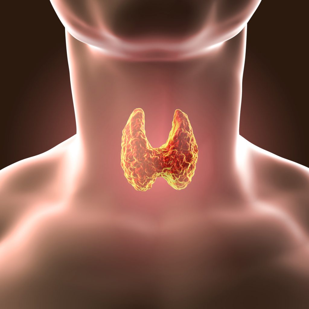 how-to-treat-the-thyroid-gland-cyst-all-information-about-cysts